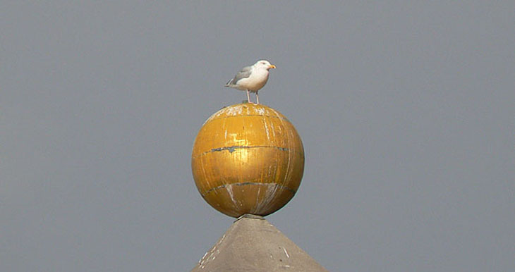 Welkom op Scheveningen Centrum